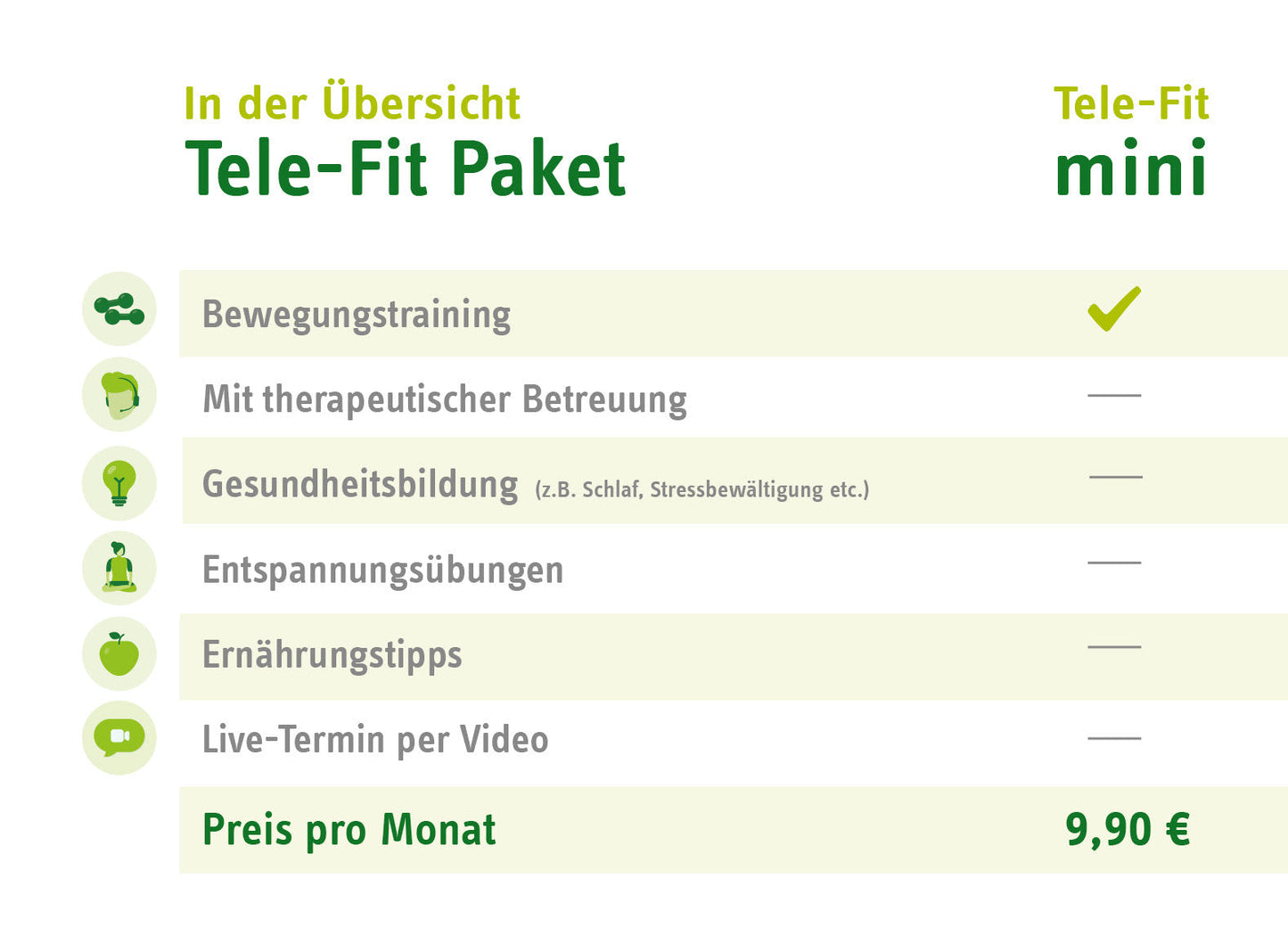 Tele-Fit mini Paket-Übersicht für das Online-Training-Programm des ZAR Heilbronn, perfekt für das Training zu jeder Zeit, an jedem Ort.