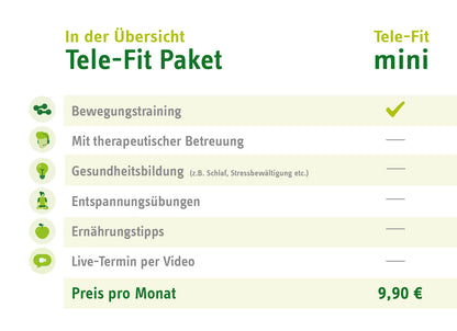 Tele-Fit mini Paket-Übersicht für das Online-Training-Programm des ZAR Heilbronn, perfekt für das Training zu jeder Zeit, an jedem Ort.